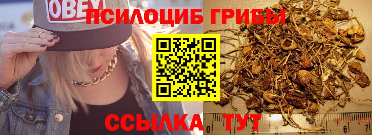 Псилоцибиновые грибы мухоморы  Вход с VPN  наркотики  Туапсе 
