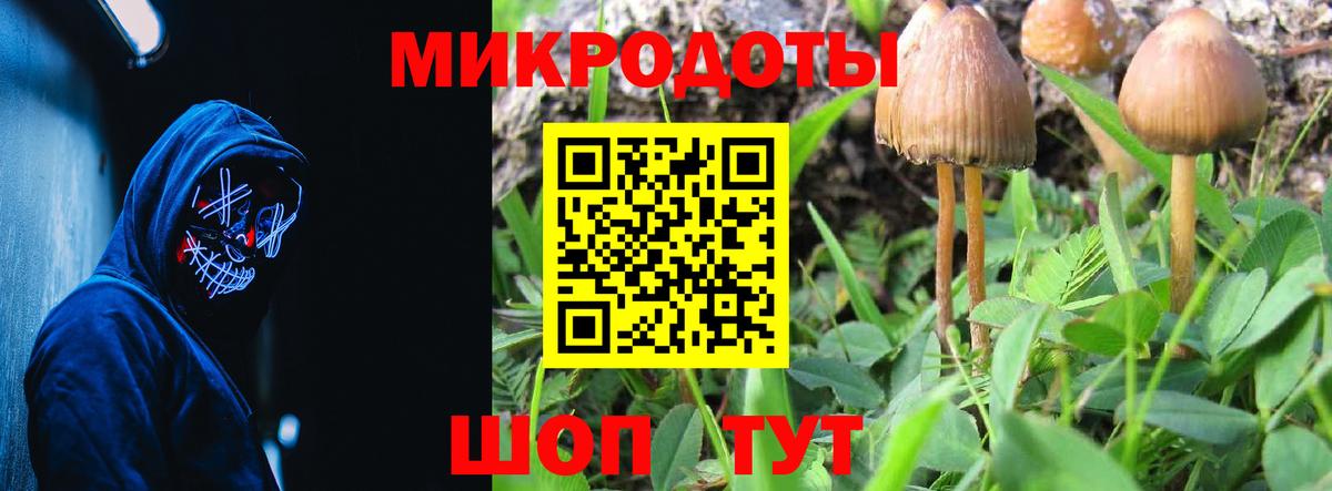 Галлюциногенные грибы ЛСД Туапсе